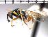  ( - Tbed-Dne 2)  @12 [ ] No Rights Reserved  Unspecified Unspecified
