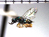  ( - Tbed-Dpo 1)  @12 [ ] No Rights Reserved  Unspecified Unspecified
