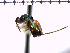  ( - Tbed-Dsp 4)  @12 [ ] No Rights Reserved  Unspecified Unspecified