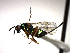  ( - Tbed-Dsp 5)  @12 [ ] No Rights Reserved  Unspecified Unspecified