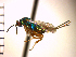  ( - Tbed-Dtr 4)  @12 [ ] No Rights Reserved  Unspecified Unspecified
