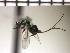 ( - Tbic-Dva 2)  @11 [ ] No Rights Reserved  Unspecified Unspecified