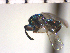  ( - Tbic-Dva 3)  @11 [ ] No Rights Reserved  Unspecified Unspecified