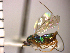  ( - Tmag-Dra 4)  @11 [ ] No Rights Reserved  Unspecified Unspecified
