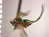 ( - Tsol-Dtr 4)  @11 [ ] No Rights Reserved  Unspecified Unspecified