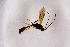  ( - NHMO-DAR-11592)  @11 [ ] CreativeCommons - Attribution Non-Commercial Share-Alike (2016) Unspecified University of Oslo, Natural History Museum