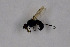  ( - NHMO-DAR-11547)  @12 [ ] CreativeCommons - Attribution Non-Commercial Share-Alike (2016) Unspecified University of Oslo, Natural History Museum