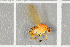  ( - NHMO-DAR-5679)  @13 [ ] CreativeCommons - Attribution Non-Commercial Share-Alike (2015) Unspecified University of Oslo, Natural History Museum