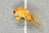  ( - NHMO-DAR-5736)  @12 [ ] CreativeCommons - Attribution Non-Commercial Share-Alike (2015) Unspecified University of Oslo, Natural History Museum