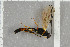  ( - NHMO-DAR-5813)  @12 [ ] CreativeCommons - Attribution Non-Commercial Share-Alike (2015) Unspecified University of Oslo, Natural History Museum