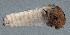  ( - EPAVT125)  @11 [ ] Unspecified (default): All Rights Reserved  Unspecified Unspecified