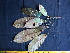  ( - K1353_B3)  @11 [ ] CreativeCommons - Attribution Non-Commercial Share-Alike (2019) Varun Swamy San Diego Zoo Global