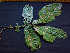  ( - K1353_H3)  @11 [ ] CreativeCommons - Attribution Non-Commercial Share-Alike (2019) Varun Swamy San Diego Zoo Global