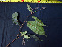  ( - K1353_G2)  @11 [ ] CreativeCommons - Attribution Non-Commercial Share-Alike (2019) Varun Swamy San Diego Zoo Global
