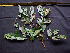  (Lonchocarpus - K1353_G7)  @11 [ ] CreativeCommons - Attribution Non-Commercial Share-Alike (2019) Varun Swamy San Diego Zoo Global