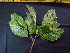  ( - K1353_D7)  @11 [ ] CreativeCommons - Attribution Non-Commercial Share-Alike (2019) Varun Swamy San Diego Zoo Global