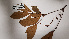  ( - K1353_H5)  @11 [ ] CreativeCommons - Attribution Non-Commercial Share-Alike (2019) Varun Swamy San Diego Zoo Global