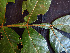  ( - K1353_B11)  @11 [ ] CreativeCommons - Attribution Non-Commercial Share-Alike (2019) Varun Swamy San Diego Zoo Global
