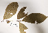  ( - K1354_G4)  @11 [ ] CreativeCommons - Attribution Non-Commercial Share-Alike (2019) Varun Swamy San Diego Zoo Global