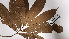  ( - K1353_E12)  @11 [ ] CreativeCommons - Attribution Non-Commercial Share-Alike (2019) Varun Swamy San Diego Zoo Global