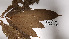  ( - K1353_F12)  @11 [ ] CreativeCommons - Attribution Non-Commercial Share-Alike (2019) Varun Swamy San Diego Zoo Global