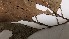  ( - K1354_F2)  @11 [ ] CreativeCommons - Attribution Non-Commercial Share-Alike (2019) Varun Swamy San Diego Zoo Global