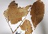  ( - K1354_B3)  @11 [ ] CreativeCommons - Attribution Non-Commercial Share-Alike (2019) Varun Swamy San Diego Zoo Global