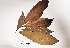  ( - K1353_G10)  @11 [ ] CreativeCommons - Attribution Non-Commercial Share-Alike (2019) Varun Swamy San Diego Zoo Global