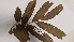  ( - K1353_B12)  @11 [ ] CreativeCommons - Attribution Non-Commercial Share-Alike (2019) Varun Swamy San Diego Zoo Global