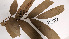  ( - K1353_B12)  @11 [ ] CreativeCommons - Attribution Non-Commercial Share-Alike (2019) Varun Swamy San Diego Zoo Global