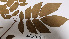  ( - K1353_H9)  @11 [ ] CreativeCommons - Attribution Non-Commercial Share-Alike (2019) Varun Swamy San Diego Zoo Global