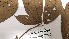  ( - K1353_B9)  @11 [ ] CreativeCommons - Attribution Non-Commercial Share-Alike (2019) Varun Swamy San Diego Zoo Global