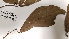  ( - K1353_B9)  @11 [ ] CreativeCommons - Attribution Non-Commercial Share-Alike (2019) Varun Swamy San Diego Zoo Global