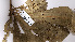  ( - K1353_C11)  @11 [ ] CreativeCommons - Attribution Non-Commercial Share-Alike (2019) Varun Swamy San Diego Zoo Global