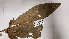 ( - K1353_D11)  @11 [ ] CreativeCommons - Attribution Non-Commercial Share-Alike (2019) Varun Swamy San Diego Zoo Global