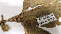  ( - K1353_D11)  @11 [ ] CreativeCommons - Attribution Non-Commercial Share-Alike (2019) Varun Swamy San Diego Zoo Global