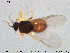  ( - TRD-Cer114)  @12 [ ] CreativeCommons - Attribution Non-Commercial Share-Alike (2015) NTNU University Museum, Department of Natural History NTNU University Museum, Department of Natural History