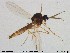  ( - TRD-Cer125)  @12 [ ] CreativeCommons - Attribution Non-Commercial Share-Alike (2015) NTNU University Museum, Department of Natural History NTNU University Museum, Department of Natural History