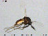  ( - TRD-Cer126)  @12 [ ] CreativeCommons - Attribution Non-Commercial Share-Alike (2015) NTNU University Museum, Department of Natural History NTNU University Museum, Department of Natural History