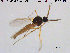  ( - TRD-Cer127)  @13 [ ] CreativeCommons - Attribution Non-Commercial Share-Alike (2015) NTNU University Museum, Department of Natural History NTNU University Museum, Department of Natural History