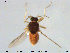  ( - TRD-Cer131)  @12 [ ] CreativeCommons - Attribution Non-Commercial Share-Alike (2015) NTNU University Museum, Department of Natural History NTNU University Museum, Department of Natural History