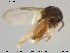  ( - TRD-Cer146)  @12 [ ] CreativeCommons - Attribution Non-Commercial Share-Alike (2015) NTNU University Museum, Department of Natural History NTNU University Museum, Department of Natural History