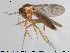  ( - TRD-Cer157)  @13 [ ] CreativeCommons - Attribution Non-Commercial Share-Alike (2015) NTNU University Museum, Department of Natural History NTNU University Museum, Department of Natural History