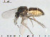  ( - TRD-Cer199)  @11 [ ] CreativeCommons - Attribution Non-Commercial Share-Alike (2015) NTNU University Museum, Department of Natural History NTNU University Museum, Department of Natural History