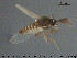  ( - TRD-Cer225)  @11 [ ] CreativeCommons - Attribution Non-Commercial Share-Alike (2015) NTNU University Museum, Department of Natural History NTNU University Museum, Department of Natural History