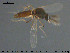 ( - TRD-Cer226)  @11 [ ] CreativeCommons - Attribution Non-Commercial Share-Alike (2015) NTNU University Museum, Department of Natural History NTNU University Museum, Department of Natural History