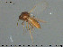  ( - TRD-Cer244)  @11 [ ] CreativeCommons - Attribution Non-Commercial Share-Alike (2015) NTNU University Museum, Department of Natural History NTNU University Museum, Department of Natural History