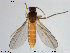  ( - TRD-Cer27)  @12 [ ] CreativeCommons - Attribution Non-Commercial Share-Alike (2014) NTNU University Museum, Department of Natural History NTNU University Museum, Department of Natural History
