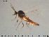  ( - TRD-Cer287)  @11 [ ] CreativeCommons - Attribution Non-Commercial Share-Alike (2015) NTNU University Museum, Department of Natural History NTNU University Museum, Department of Natural History