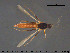  ( - TRD-Cer288)  @11 [ ] CreativeCommons - Attribution Non-Commercial Share-Alike (2015) NTNU University Museum, Department of Natural History NTNU University Museum, Department of Natural History